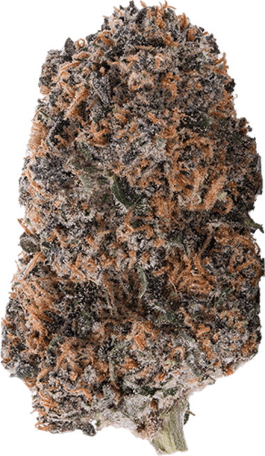 Berry SkunkDawg image 1