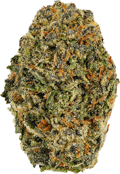 Blue Afghani image 1