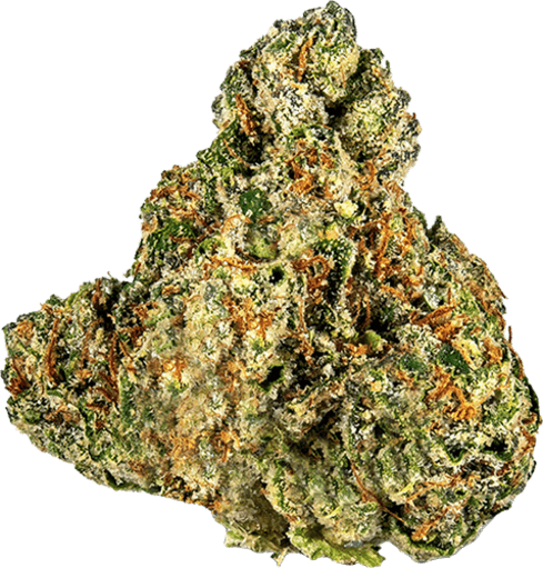Kosher Dawg image 1