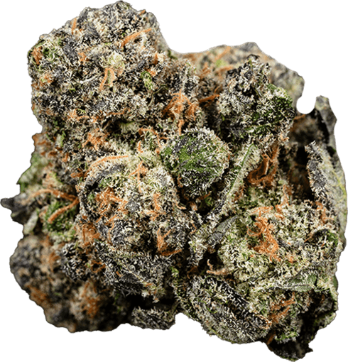 Kosher Kush image 1