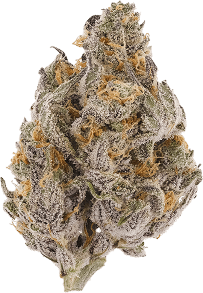 Wedding Kush image 1